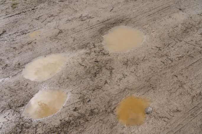 Ritratt: James Bianchi/ Illum